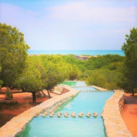 Apartment With Pool, Sea Views & Balcony Less Than 10Min Walk To La Mata Beach! Torrevieja Eksteriør billede