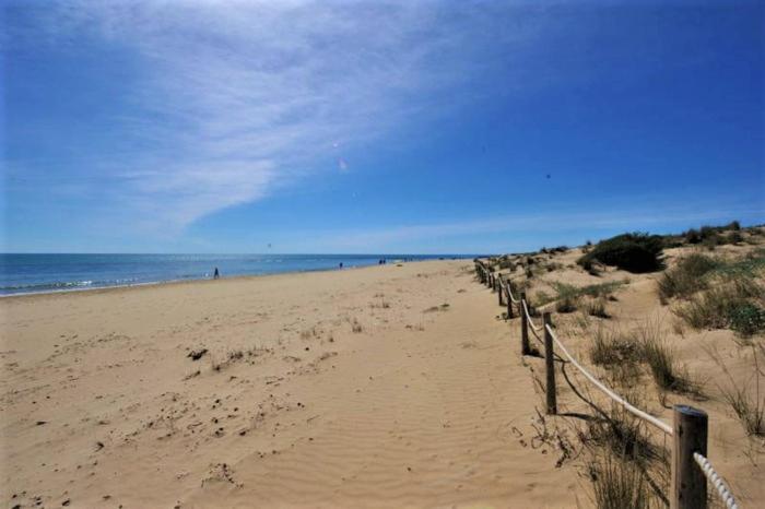 Apartment With Pool, Sea Views & Balcony Less Than 10Min Walk To La Mata Beach! Torrevieja Eksteriør billede